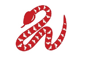 snake-zodiac.jpg