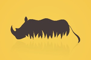 rhinoceros-feng-shui.jpg