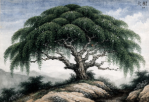 Mythical-chinese-parasol-tree.jpg