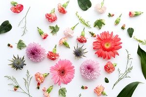 feng-shui-flowers.jpg